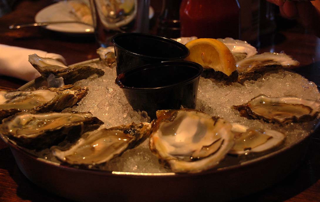 oysters.jpg