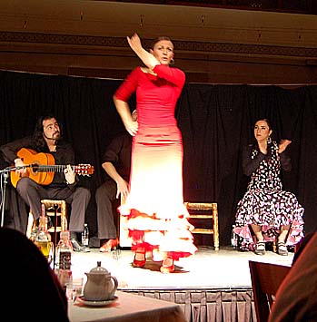 189.flamenco2.jpg