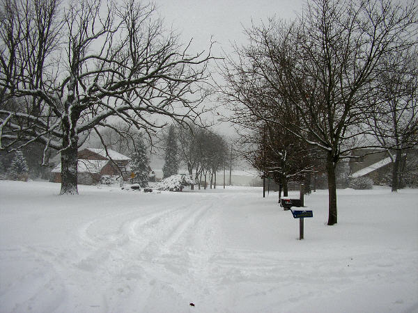 winter07.jpg